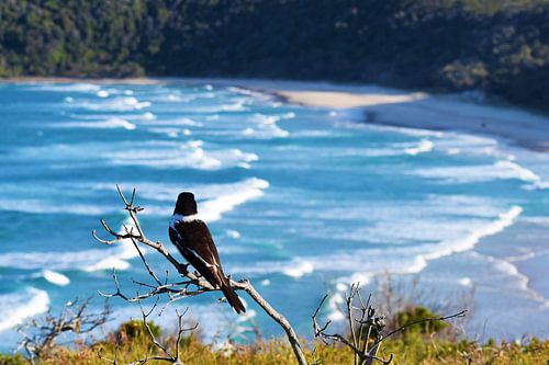 On The Same Wavelength van Jurgen Hak