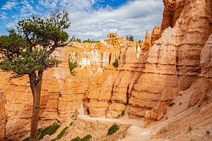 Bryce-Canyon-Nationalpark, Utah USA