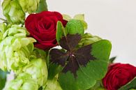 Vierblättriges Kleeblatt in einem Blumenstrauss aus Rosen und Hopfen von Jolanda de Jong-Jansen Miniaturansicht
