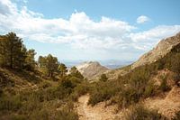 Wanderungen in den Bergen von Aiguës - Spanien