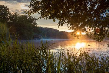 Malerischer Sonnenuntergang am See in Bayern mit Nebel