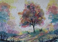 Autumn in the forest