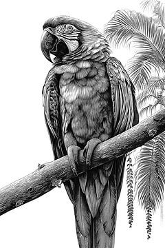 Perchoir tropical pour ara, dessin vintage détaillé