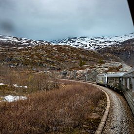 promenade en train dans les montagnes sur Bart Berendsen