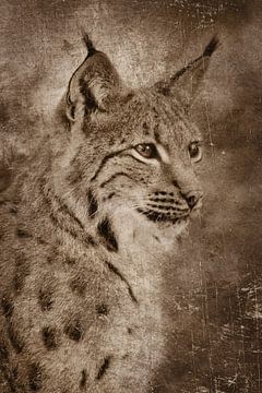 Portrait de lynx comme ancienne photographie sur Elles Rijsdijk