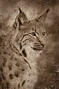 Lynx portrait as an old photograph by Elles Rijsdijk thumbnail