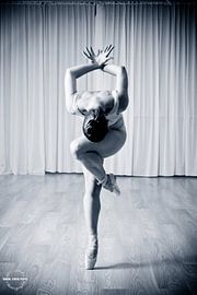 Die Tänzerin von Alex Spinder