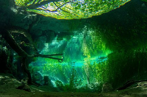 Doorkijkje in heldere bron