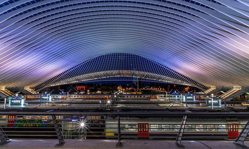 Station Luik-Guillemins by Danny Bartels