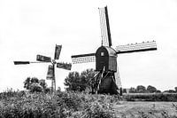 Legacy from an old time