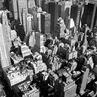 New York.