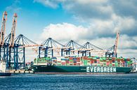 Container ship Ever Golden of Evergreen Lines at the container t by Sjoerd van der Wal Photography thumbnail