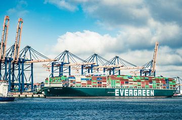 Containerschip Ever Golden van Evergreen Lines in de Rotterdamse haven van Sjoerd van der Wal Fotografie