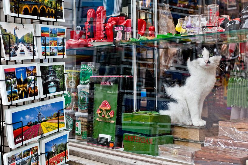 Amsterdam Shopcat by Robert van Willigenburg