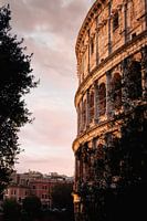 Colosseum in Rome with sunrise