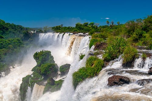 Iguazu Falls in in the jungle of south America