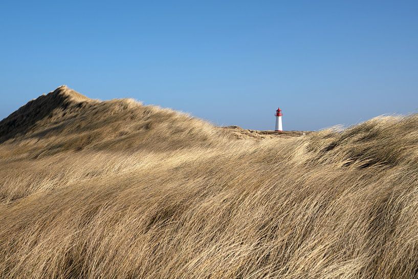 Leuchtturm List Ost auf Sylt, Nordfriesland, Deutschland von Alexander Ludwig