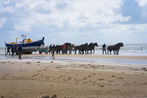 Paardenreddingboot op het strand