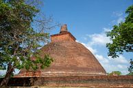 Buddhist stupa near Anuradhapura, Sri Lanka by Jan Fritz thumbnail