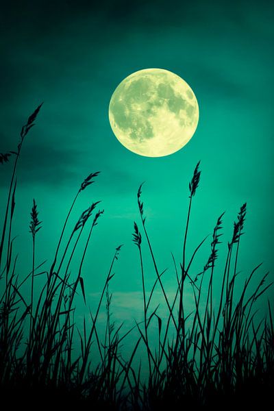 Full moon night by Poster Art Shop