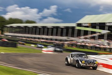 Goodwood Revival, Ac Cobra! by Bob Van der Wolf