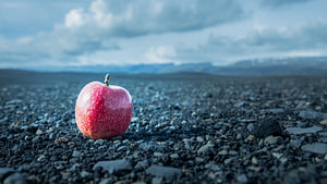 Apple on Iceland