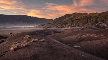 Une belle vue sur la plaine sablonneuse du Bromo lors d'un lever de soleil coloré. sur Anges van der Logt