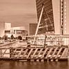 Rotterdam Kop van Zuid - monochrome by Frans Blok