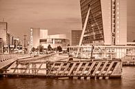 Rotterdam Kop van Zuid - monochroom van Frans Blok thumbnail
