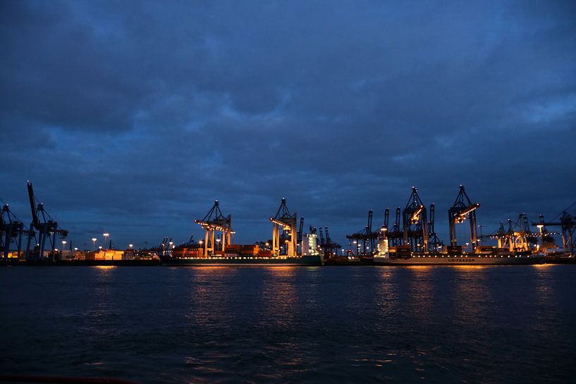 Hamburg Hafen bei Nacht von Borg Enders