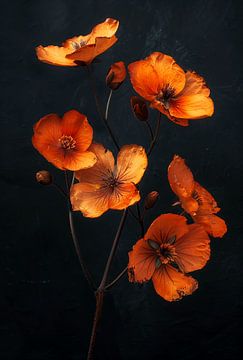 Coquelicots orange sur Dakota Wall Art