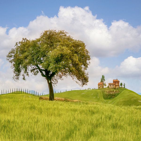 Toscane van Lars van de Goor