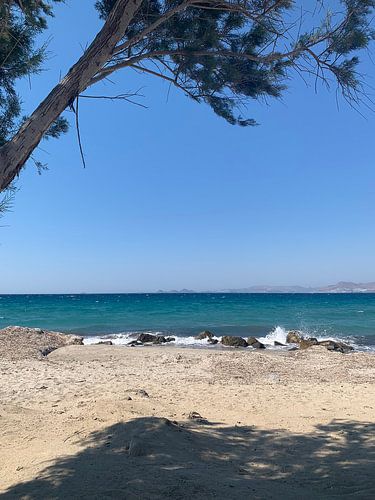 Blick vom Strand unter einem Baum auf Kos