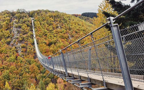 Suspension Bridge Geierlay
