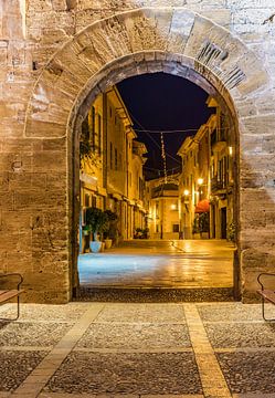 Gezicht op de oude poort van de vestingmuur in de oude stad Alcudia op het eiland Mallorca, Spanje van Alex Winter
