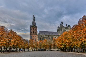 Sint-Janskathedraal en de Parade in 's-Hertogenbosch (herfstkleuren) van Fotografie Jeronimo