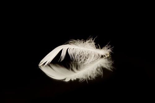 product fotografie wit en zwart