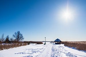 Bodden met pad en hut in Born op Fischland-Darß in de Win van Rico Ködder