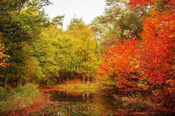 Herfstkleuren in het bos (schilderij)