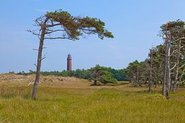 Leuchtturm Darßer Ort bei Prerow von t.ART
