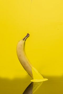 alles Banane von Thomas Riess