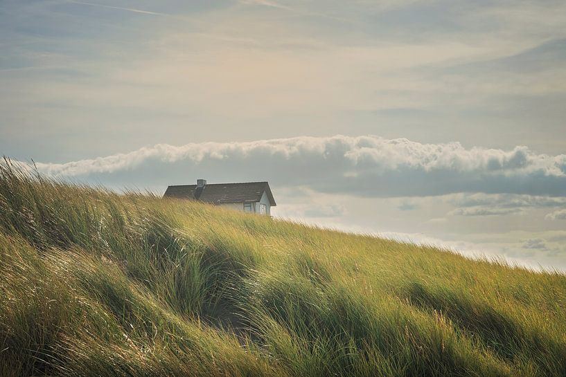 Little House on the Hill par Anouschka Hendriks