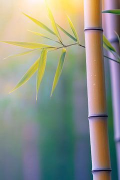 Bamboo detail in soft light by Poster Art Shop