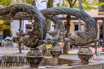 BADEN-WÜRTTEMBERG : DOLFIJNFONTEIN ULM van Photoart-Naegele