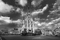 Stadhuis Gouda op de Markt in zwart-wit van Remco-Daniël Gielen Photography thumbnail