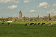 Eemnes van Jan Croonen thumbnail
