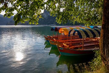Boten op het meer van Bled van Markus Weber