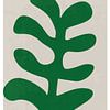 Illustration abstraite d'une feuille verte sur zippora wiese