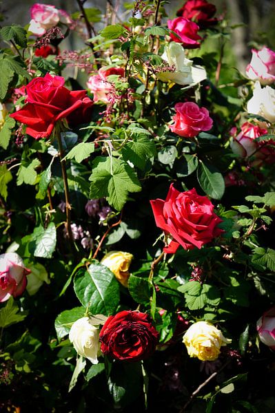 bloemen - boeket rozen - Nederland van Jeroen(JAC) de Jong