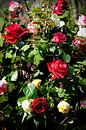 bloemen - boeket rozen - Nederland van Jeroen(JAC) de Jong thumbnail